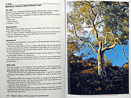 sfr-page2-v2-600.jpg